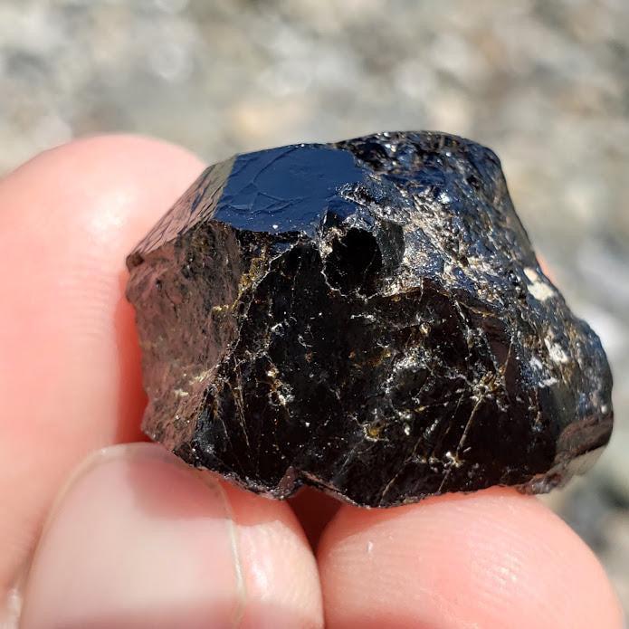 Deep Burgundy Andradite Garnet from Mexico in Collectors Box - Earth Family Crystals