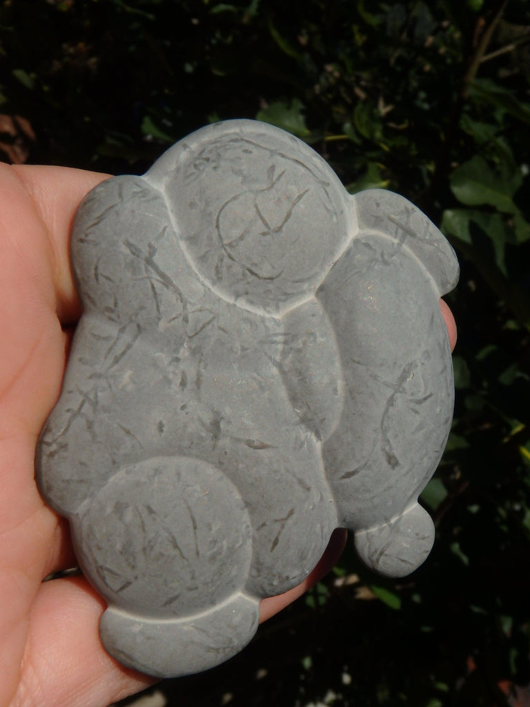 One of a Kind Quebec Fairy Stone Concretion Specimen 1 - Earth Family Crystals