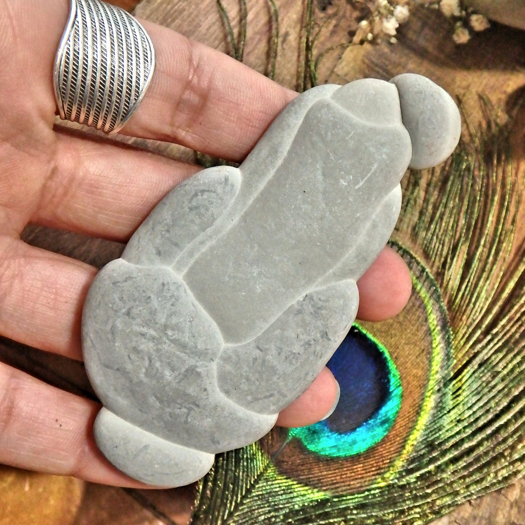 Great Personality Fairy Stone Concretion From Quebec, Canada 1 - Earth Family Crystals