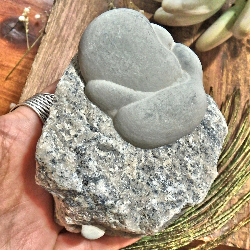 Unique Fairy Stone Growing out of Host Rock From Quebec, Canada~ Perfect Display Specimen - Earth Family Crystals