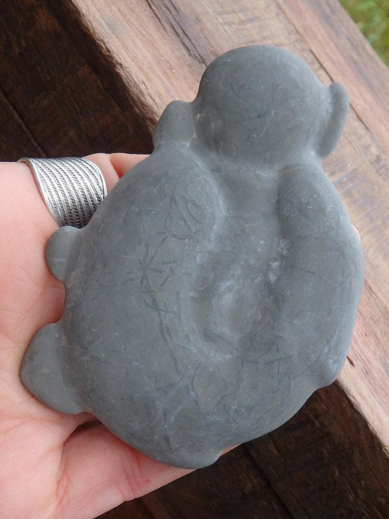 Fabulous Shape Natural Quebec Fairy Stone Concretion 2 - Earth Family Crystals
