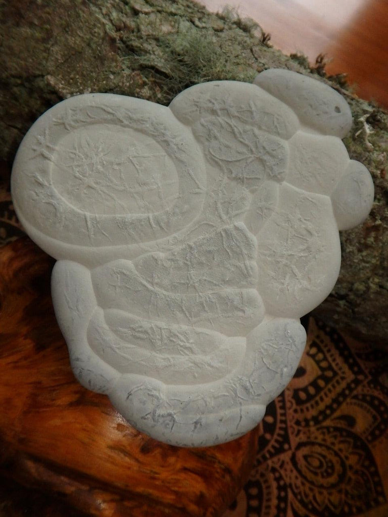 Jumbo Quebec Fairy Stone Concretion From Canada - Earth Family Crystals