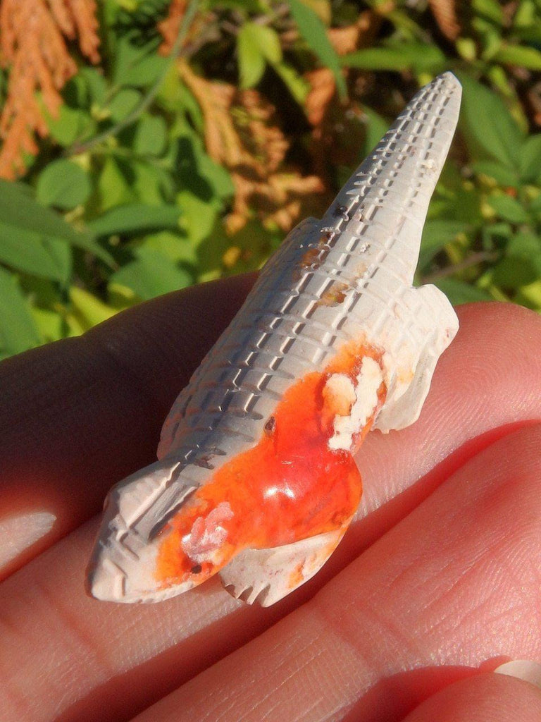 Cute Mexican Fire Opal Lizard Carving Specimen - Earth Family Crystals