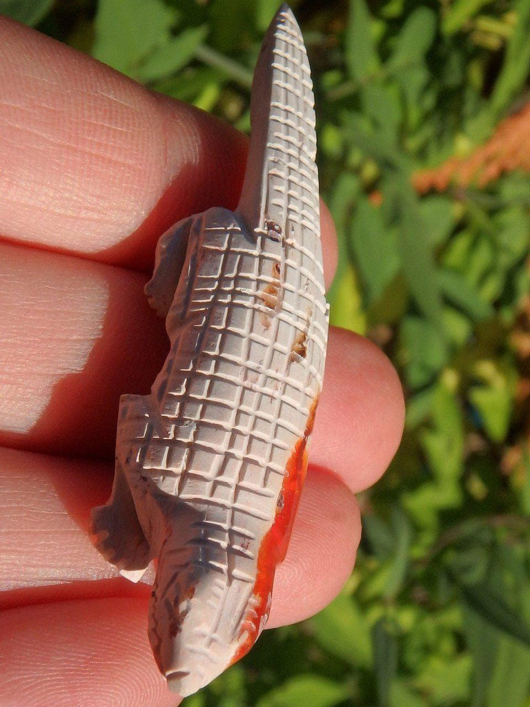 Cute Mexican Fire Opal Lizard Carving Specimen - Earth Family Crystals