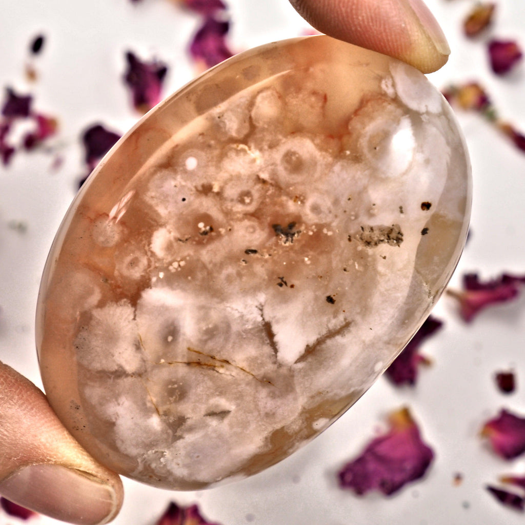 NEW! Creamy Pink & Clear Large Flower Agate Palm Stone From Madagascar #2 - Earth Family Crystals