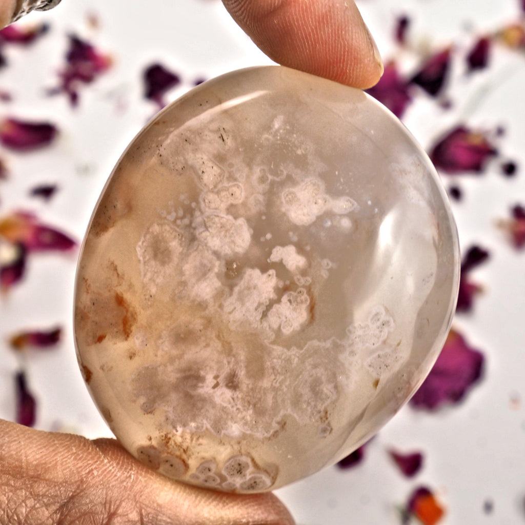 NEW! Creamy Pink & Clear Small  Flower Agate Palm Stone From Madagascar #1 - Earth Family Crystals