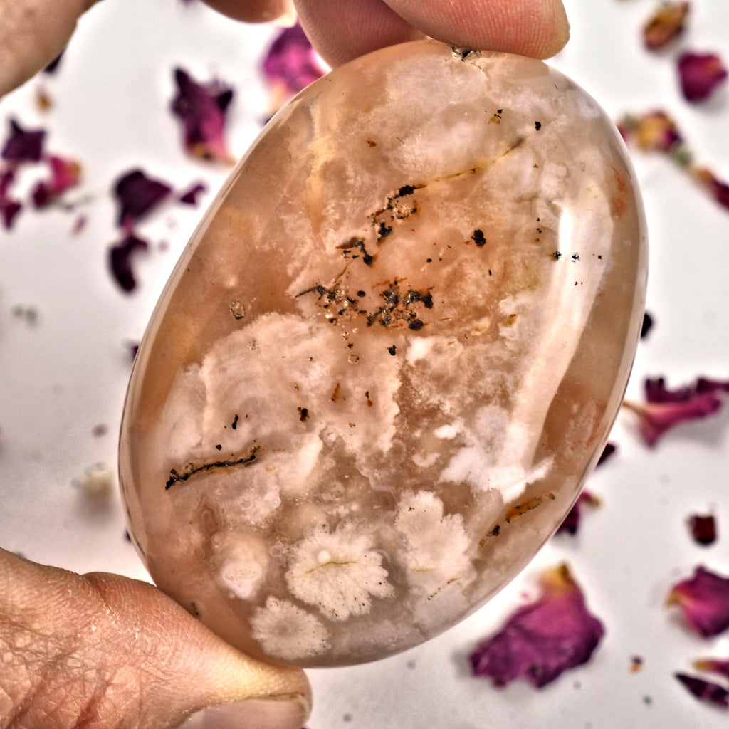 NEW! Creamy Pink & Clear Large Flower Agate Palm Stone From Madagascar #2 - Earth Family Crystals