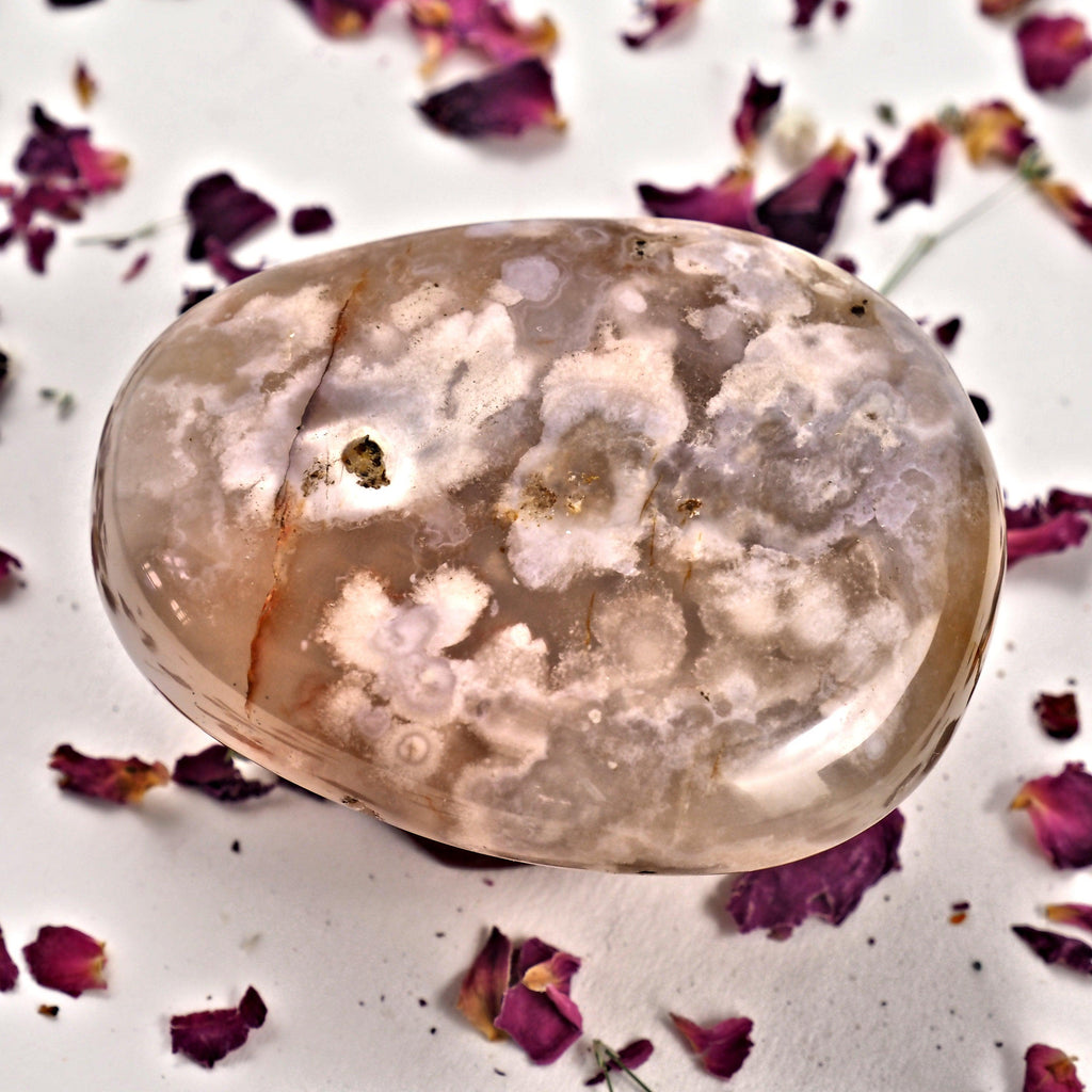 NEW! Creamy Pink & Clear Medium Flower Agate Palm Stone From Madagascar #1 - Earth Family Crystals