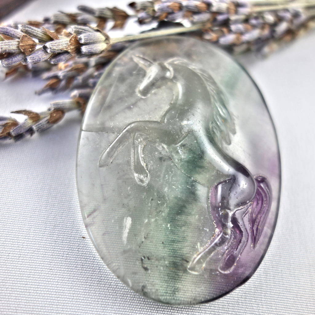 Mystical Unicorn Carved Fluorite Hand Held Specimen - Earth Family Crystals