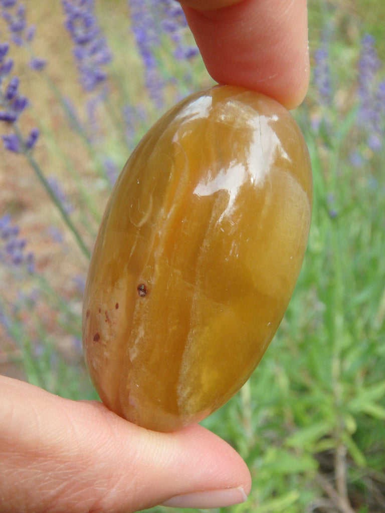 Smooth & Soothing Golden Fluorite Egg Shape Specimen 3 - Earth Family Crystals