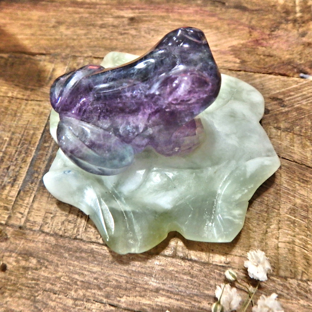 Vibrant Fluorite Frog on Mint Green Jade Lily Pad Display Carving 3 - Earth Family Crystals