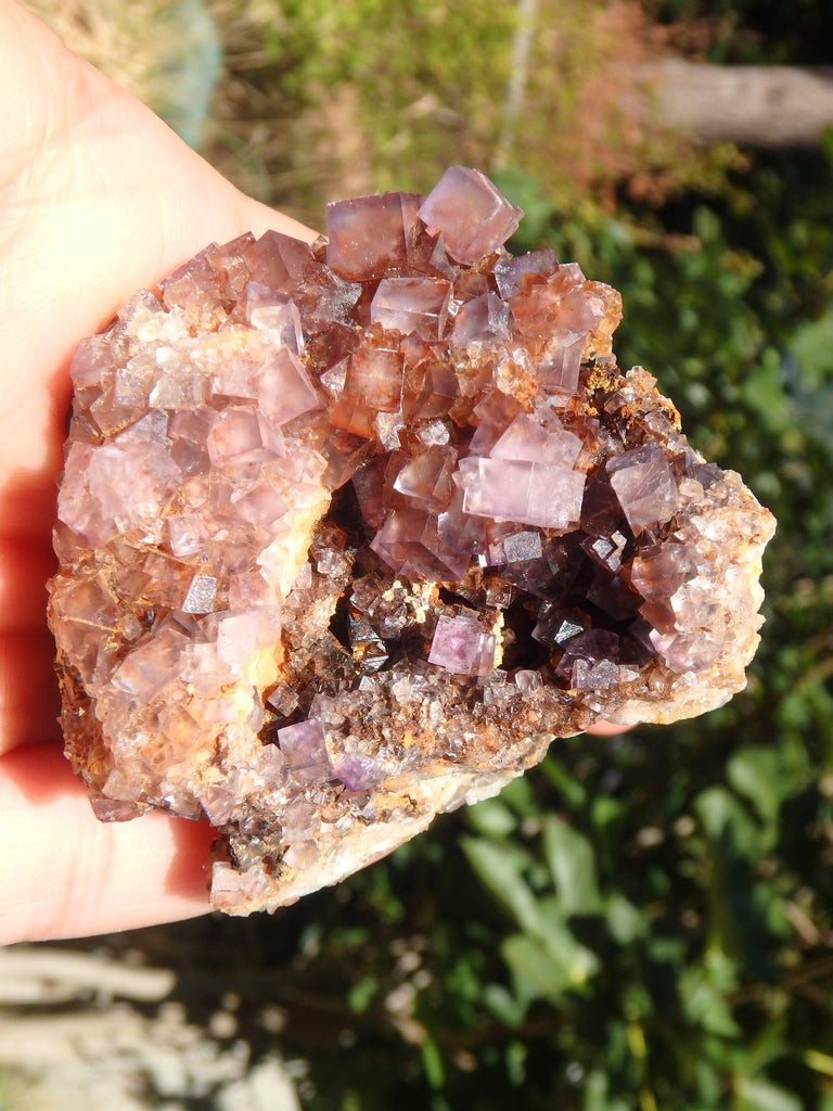 Purple Haze Cubic Fluorite Nestled on Rock Matrix From Bingham, NM - Earth Family Crystals