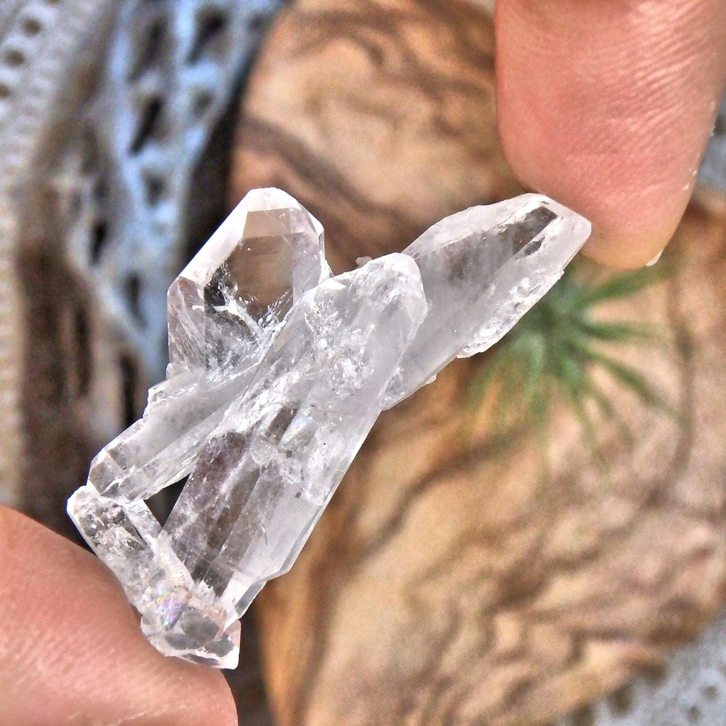 Healing Brilliance Faden Quartz Cute Dainty Specimen 1 - Earth Family Crystals