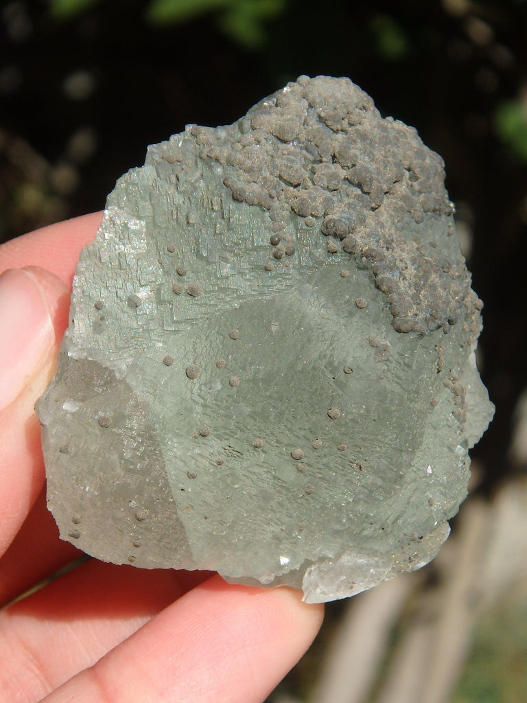 Natural Green Fluorite Specimen 3 - Earth Family Crystals