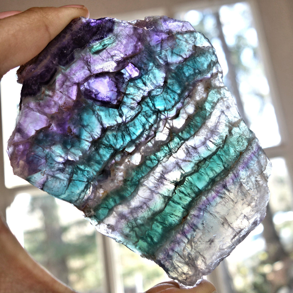 Gorgeous Layers of Color Large Rainbow Fluorite Partially Polished Slice - Earth Family Crystals