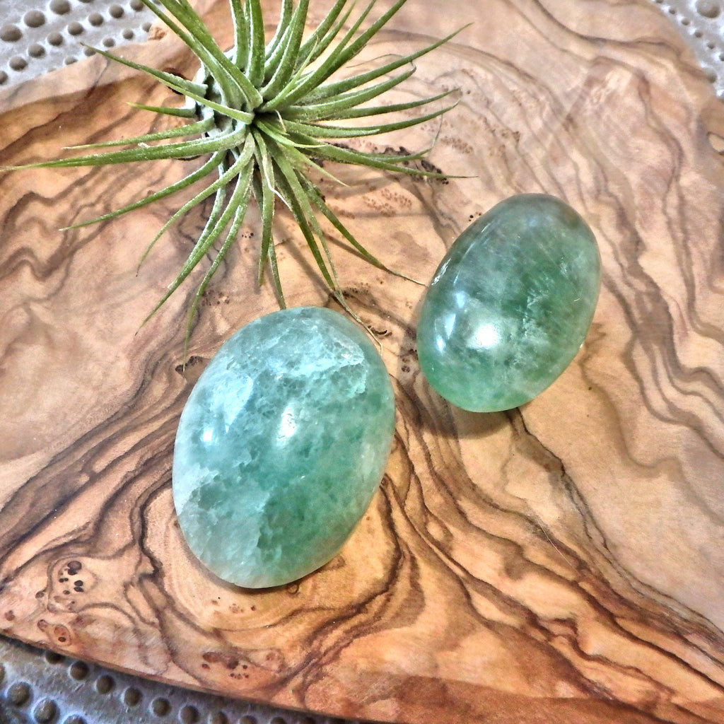 Peaceful Radiance Set of 2 Green Fluorite Pocket Stones - Earth Family Crystals
