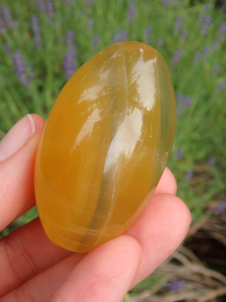 Smooth & Soothing Golden Fluorite Egg Shape Specimen 1 - Earth Family Crystals