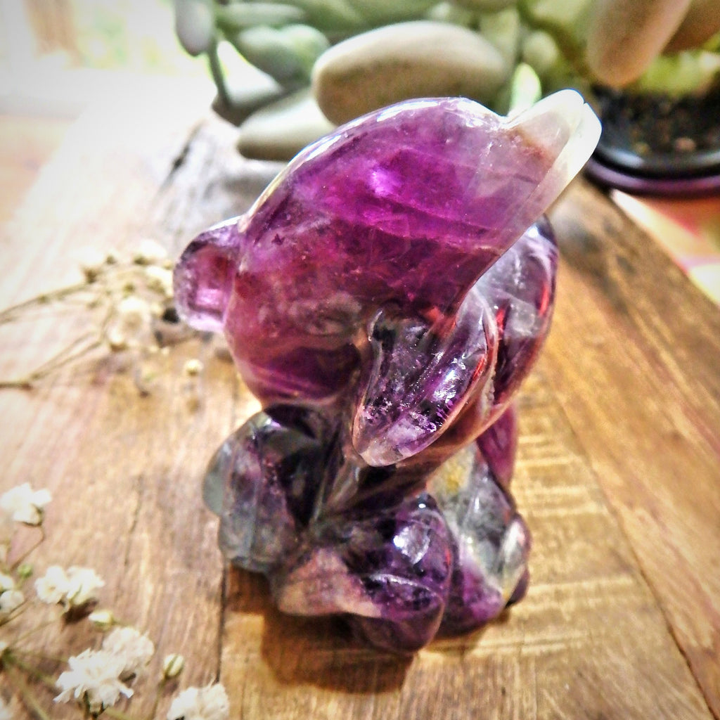 Pretty Rainbow Filled Double Dolphin Fluorite Carving Display Specimen 1 - Earth Family Crystals