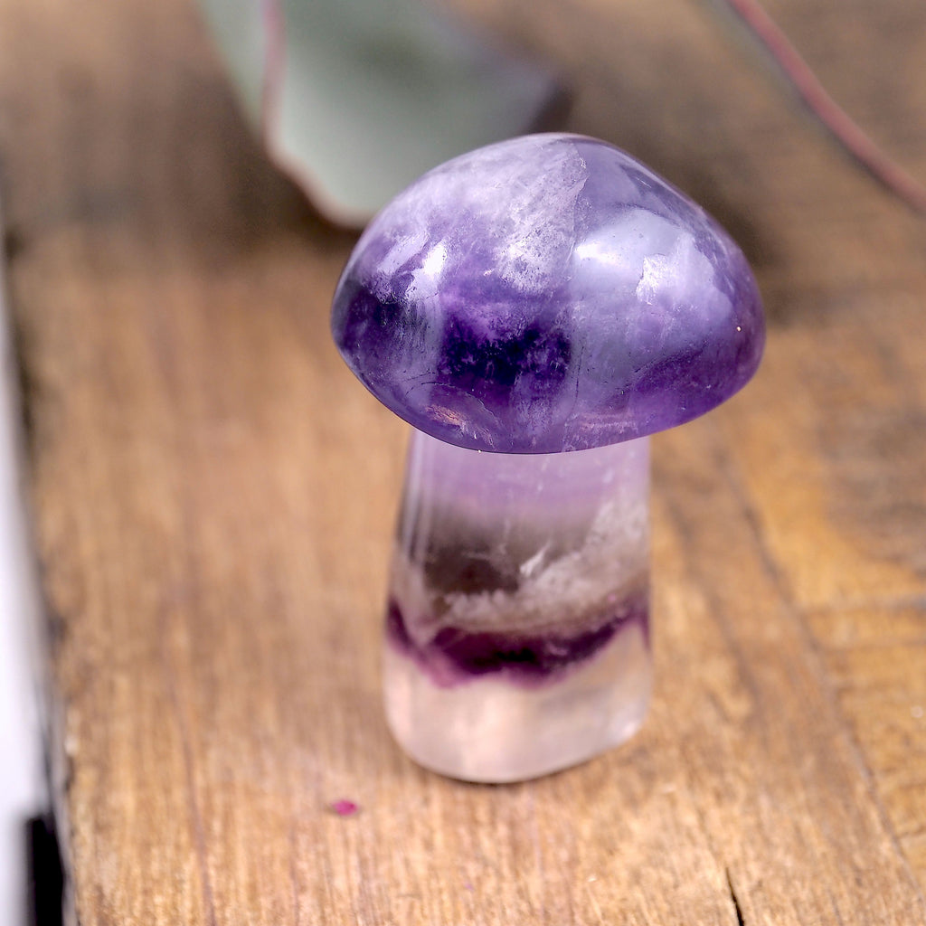 Stunning Optical Fluorite Mushroom Standing Display Carving - Earth Family Crystals