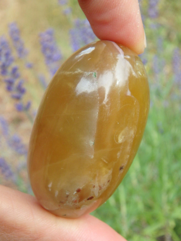 Smooth & Soothing Golden Fluorite Egg Shape Specimen 3 - Earth Family Crystals