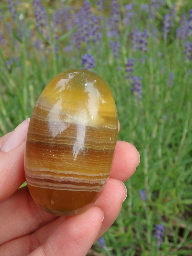 Smooth & Soothing Golden Fluorite Egg Shape Specimen 2 - Earth Family Crystals