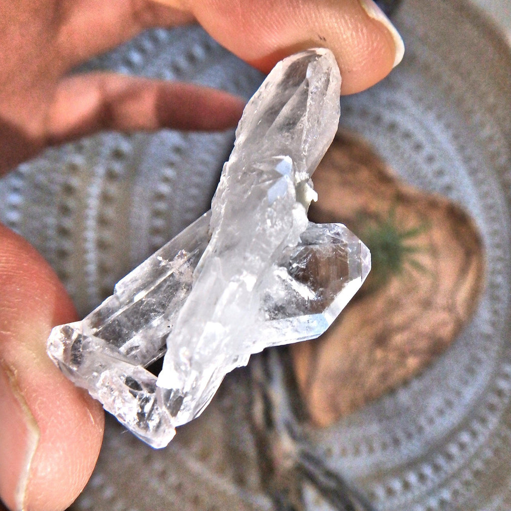 Healing Brilliance Faden Quartz Cute Dainty Specimen 1 - Earth Family Crystals