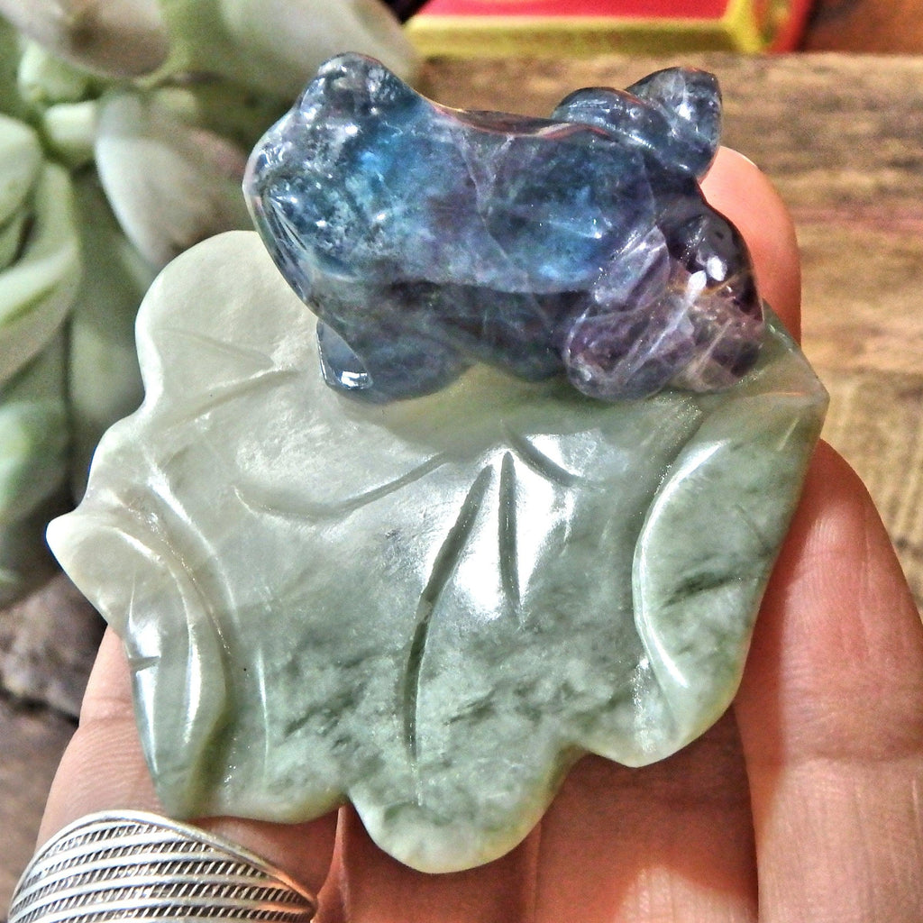 Vibrant Fluorite Frog on Mint Green Jade Lily Pad Display Carving 1 - Earth Family Crystals