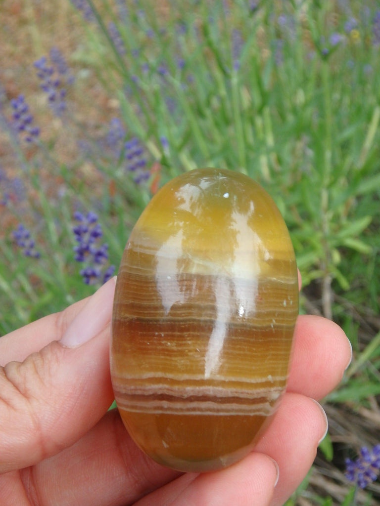Smooth & Soothing Golden Fluorite Egg Shape Specimen 2 - Earth Family Crystals