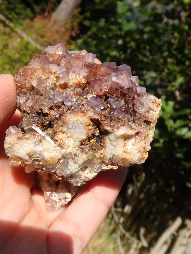 Purple Haze Cubic Fluorite Nestled on Rock Matrix From Bingham, NM - Earth Family Crystals
