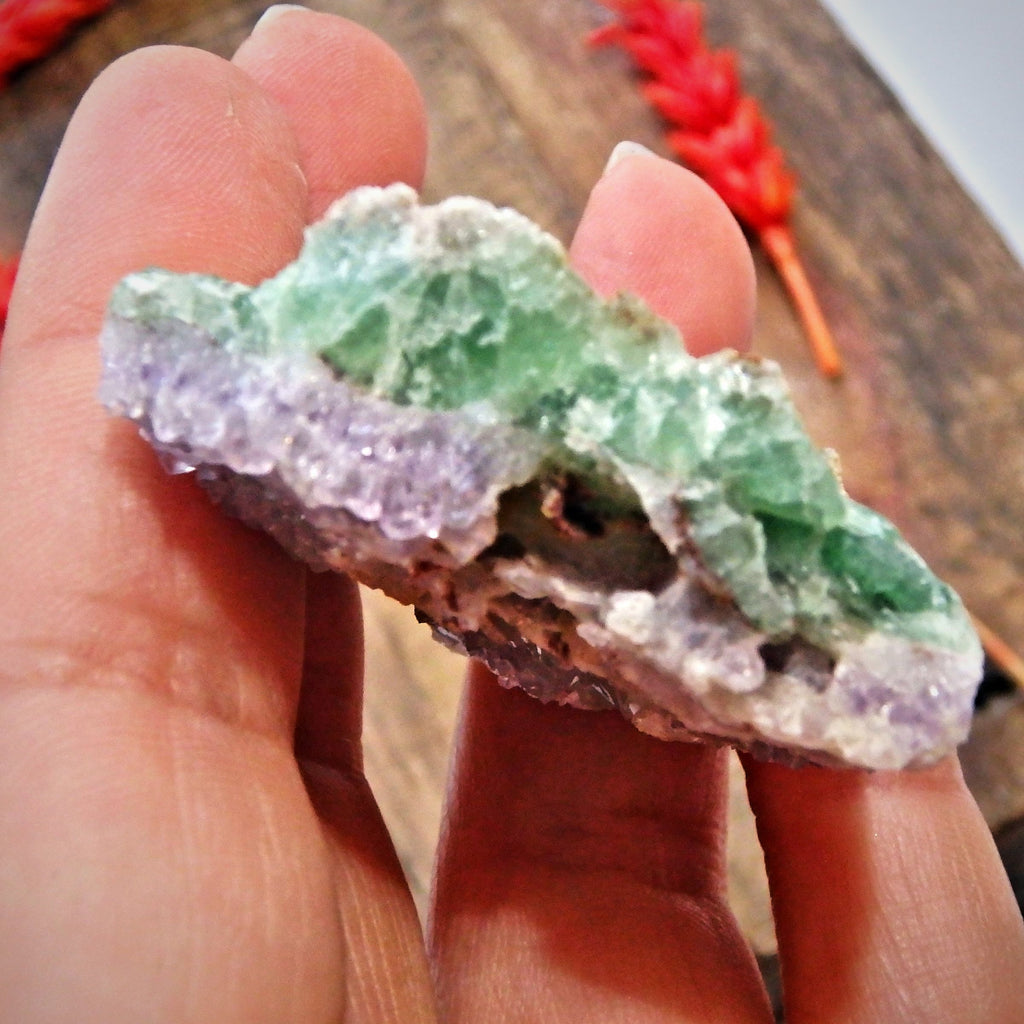 Rare & Natural Double Sided Beauty! Sparkling Lavender Amethyst & Vibrant Green Fluorite Partially Polished Specimen From Colorado - Earth Family Crystals