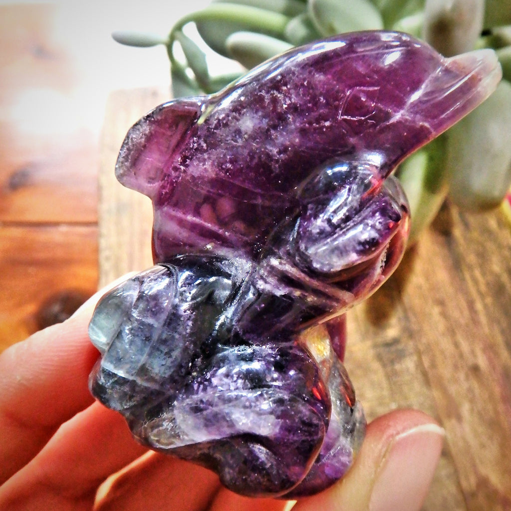 Pretty Rainbow Filled Double Dolphin Fluorite Carving Display Specimen 1 - Earth Family Crystals