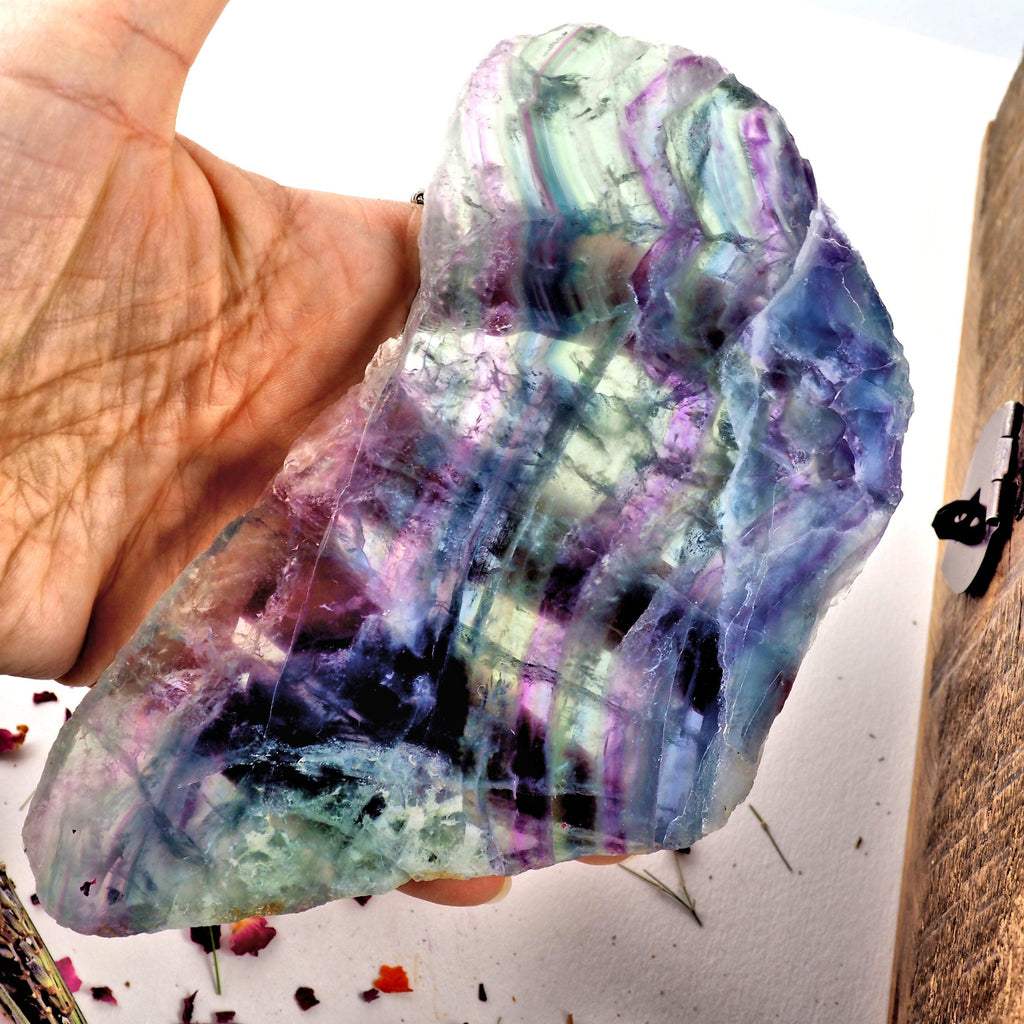 Beautiful Optical Rainbow Fluorite Large Slice Partially Polished - Earth Family Crystals