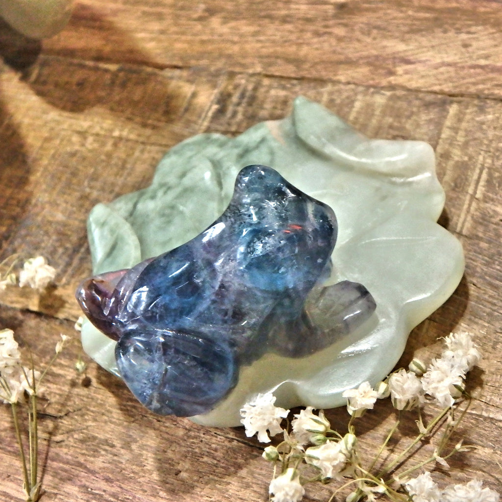 Vibrant Fluorite Frog on Mint Green Jade Lily Pad Display Carving 1 - Earth Family Crystals