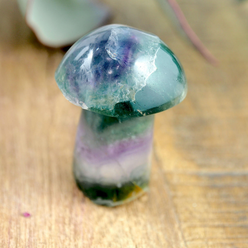 Rainbow Fluorite Mushroom Standing Display Carving - Earth Family Crystals