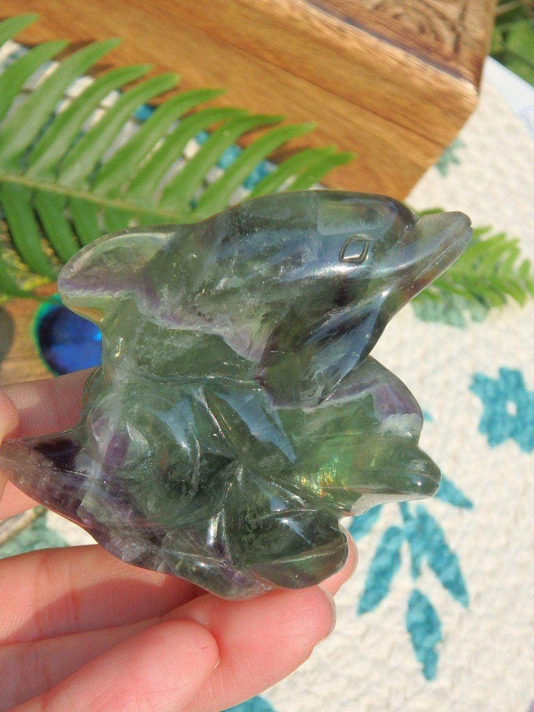 Adorable Mother & Babe Fluorite Double Dolphin Display Specimen - Earth Family Crystals