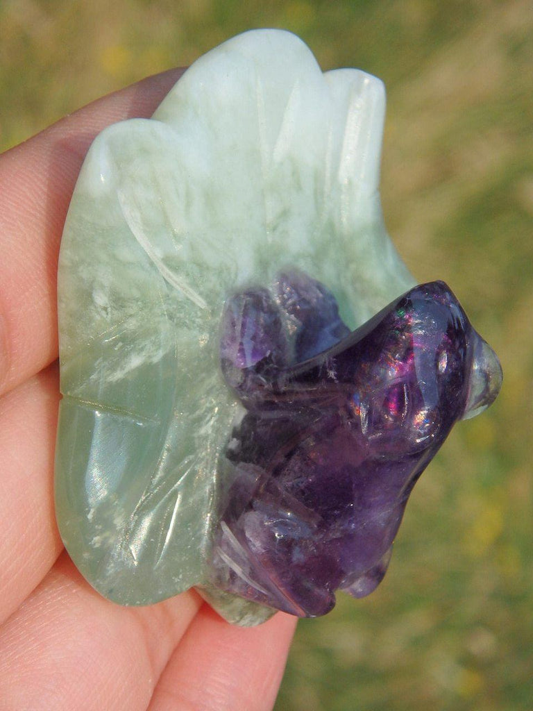 Adorable Fluorite Frog on Green Jade Lily Pad Display Specimen 5 - Earth Family Crystals
