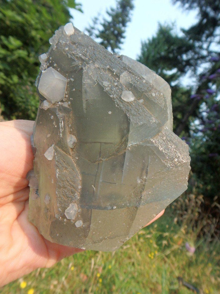 Brilliant Large Green Fluorite Cluster with Calcite Inclusions - Earth Family Crystals