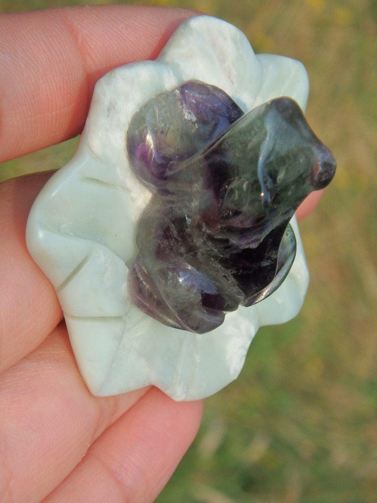 Adorable Fluorite Frog on Green Jade Lily Pad Display Specimen 2 - Earth Family Crystals