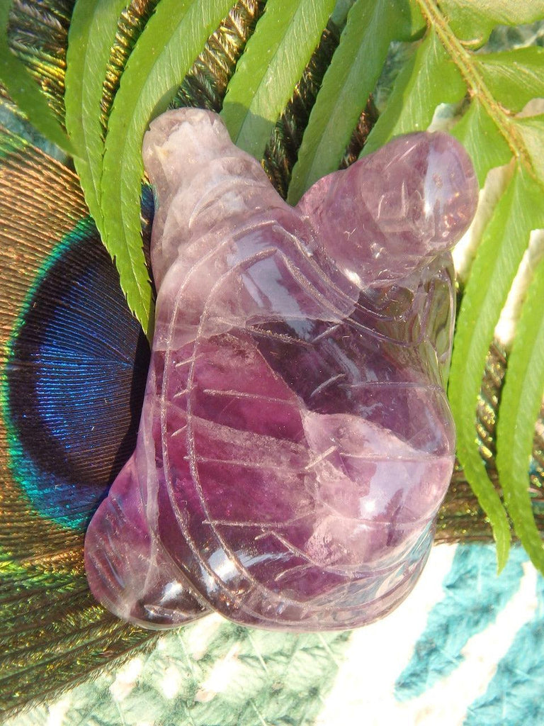 Fabulous Jelly Purple Fluorite Turtle Carving - Earth Family Crystals