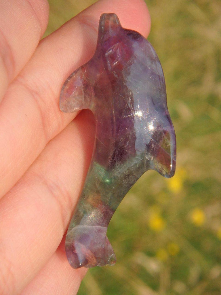 Adorable Fluorite Dolphin Specimen 3 - Earth Family Crystals