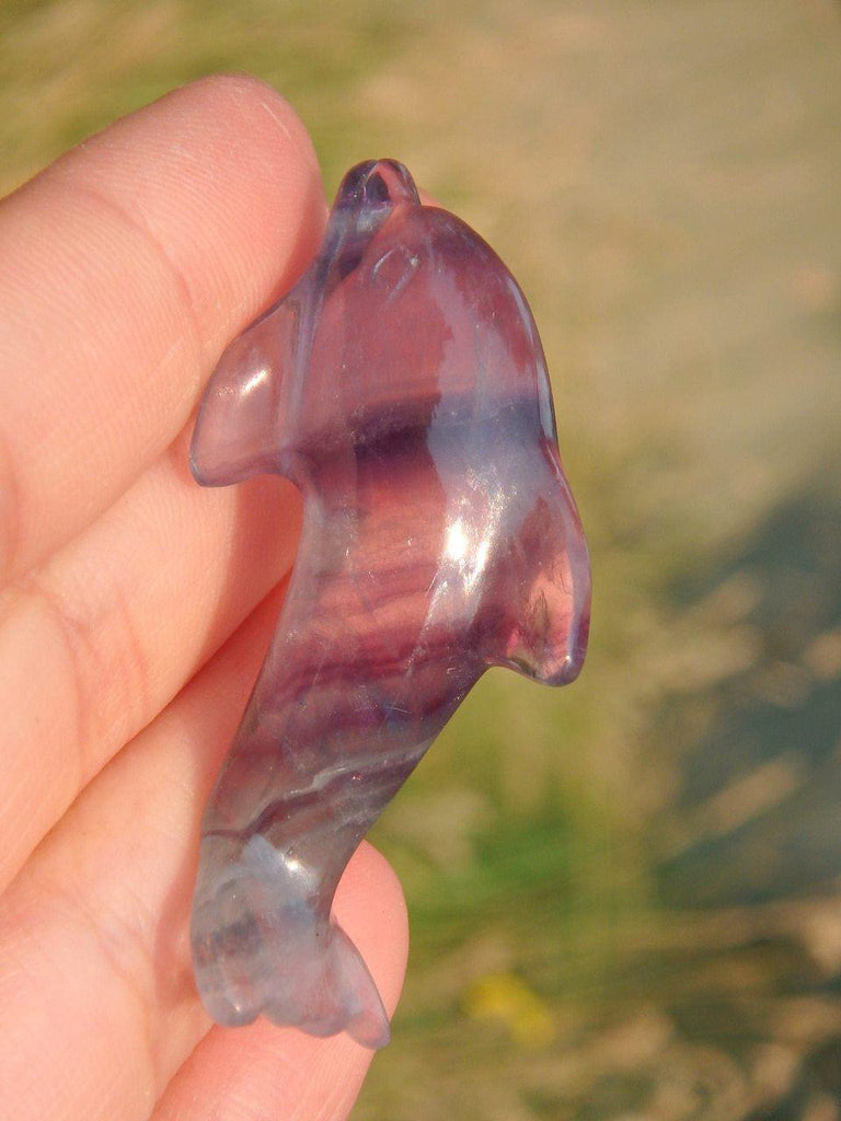 Adorable Fluorite Dolphin Specimen 1 - Earth Family Crystals