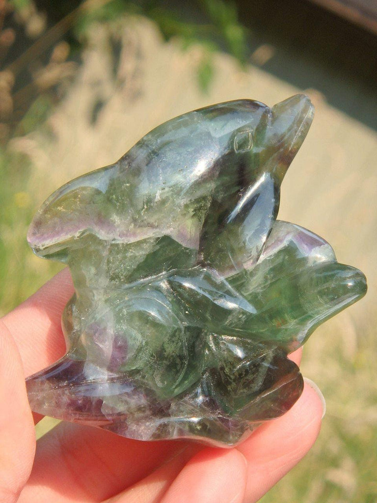 Adorable Mother & Babe Fluorite Double Dolphin Display Specimen - Earth Family Crystals