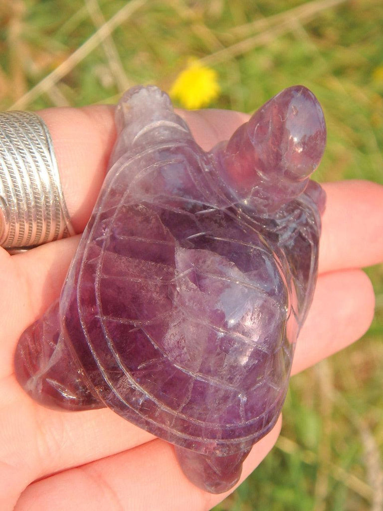 Fabulous Jelly Purple Fluorite Turtle Carving - Earth Family Crystals