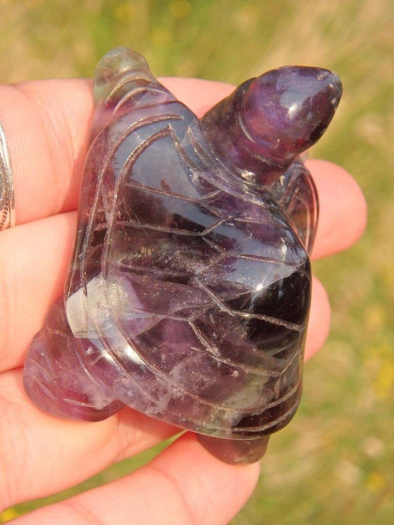 Fabulous Purple & Green Fluorite Turtle Carving 3 - Earth Family Crystals