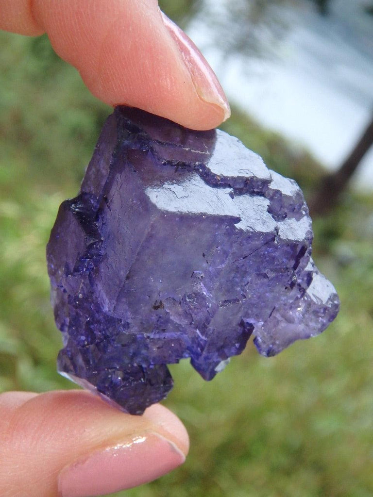 Gorgeous Midnight Purple Fractal Fluorite Specimen - Earth Family Crystals