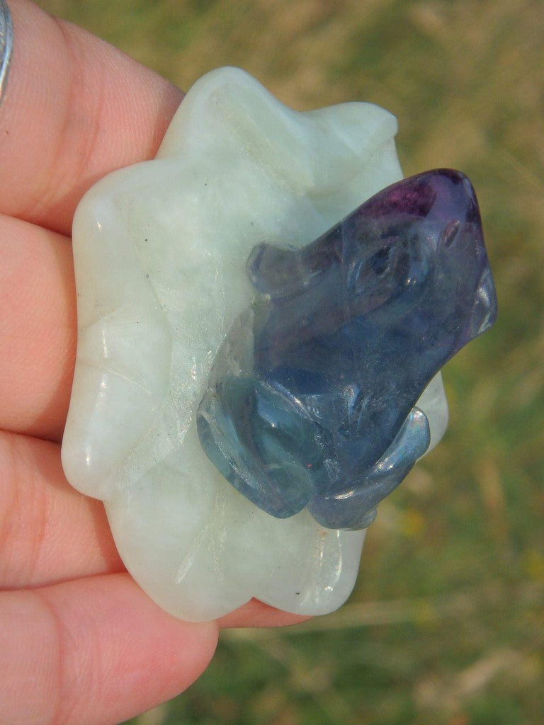 Adorable Fluorite Frog on Green Jade Lily Pad Display Specimen 4 - Earth Family Crystals