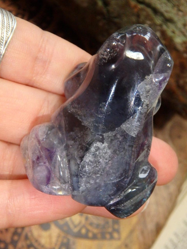 Rainbows! Stunning Turquoise Blue & Purple Fluorite Frog Carving - Earth Family Crystals