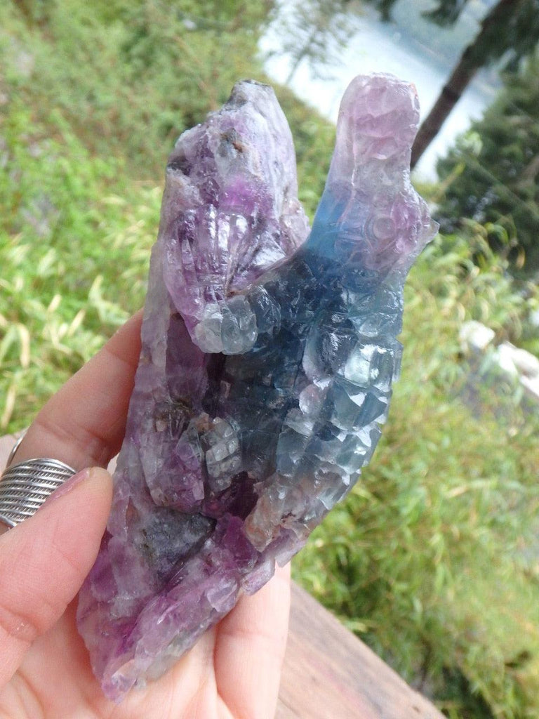 Gorgeous Intricately Carved Rainbow Fluorite Crocodile Display Specimen - Earth Family Crystals