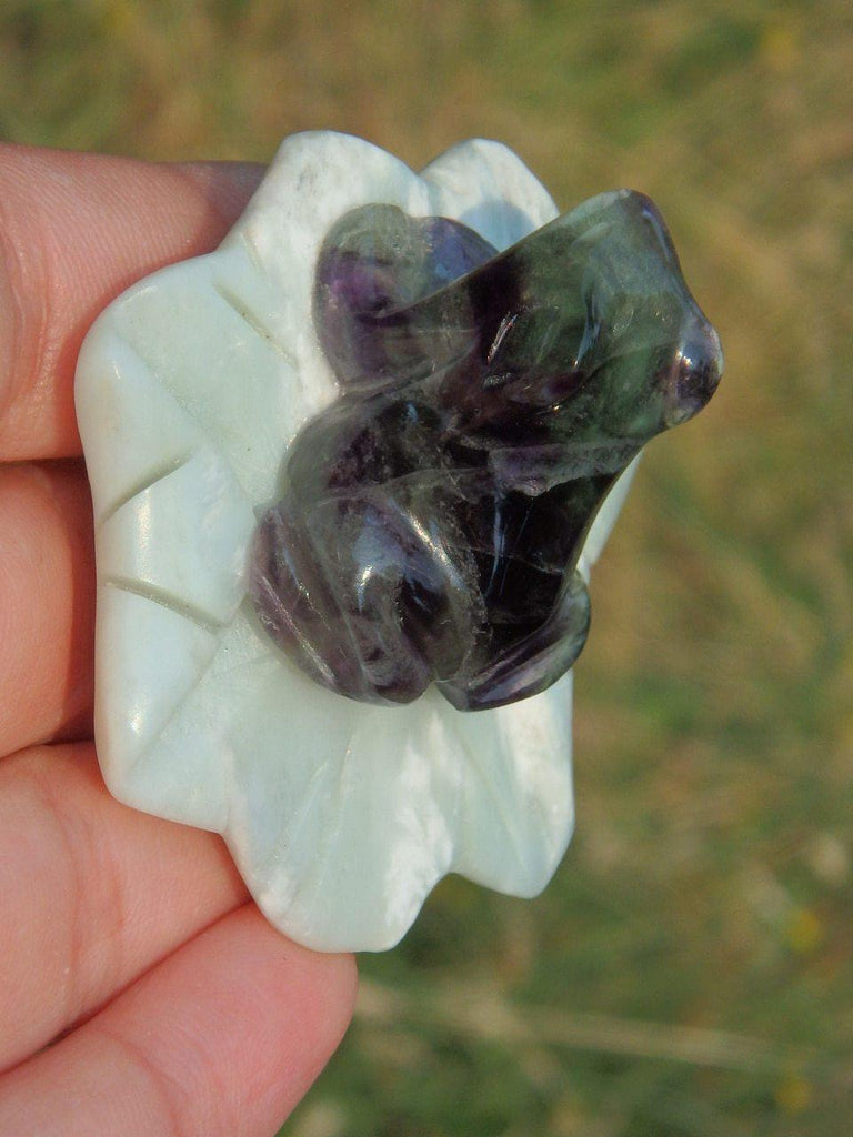 Adorable Fluorite Frog on Green Jade Lily Pad Display Specimen 2 - Earth Family Crystals