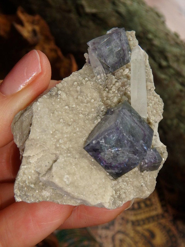 Pretty Cubic Turquoise & Purple Fluorite With Quartz Point Inclusions On Matrix - Earth Family Crystals